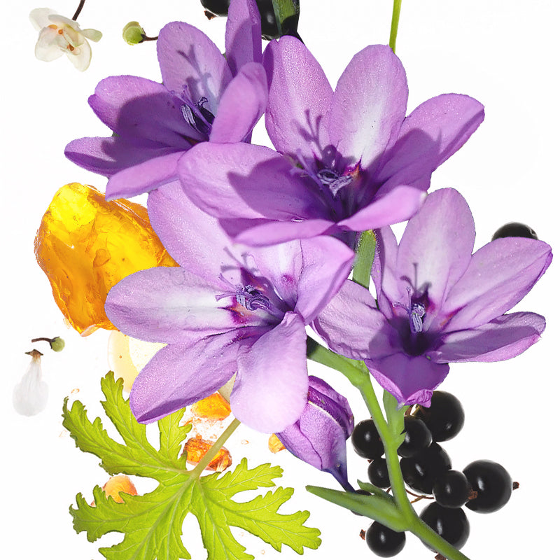 50ml KOEC Lune Violet Violet P - Perfume Fragrance Moisturizer avis et prix