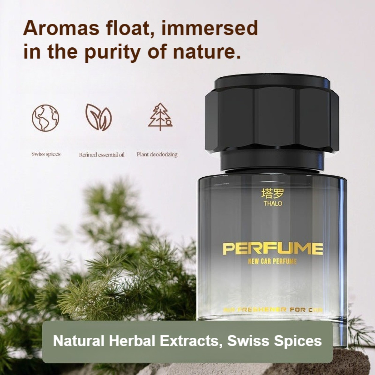 Parfum pour homme : Parfum fra - Perfume In Fragrance avis et prix